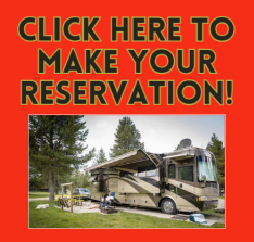 Book your camping spot at Tall Timber in Sundre, easy and quick online.